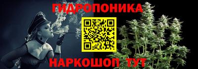 дмт Пушкино