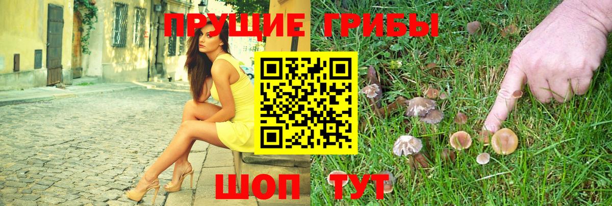 сколько стоит  Вход с VPN  Полевской  Галлюциногенные грибы ЛСД 